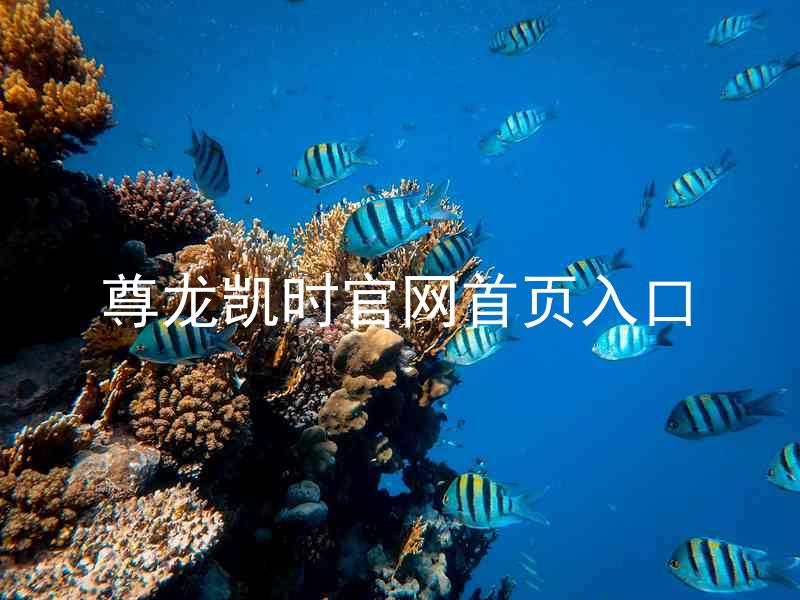 尊龙凯时官网首页入口